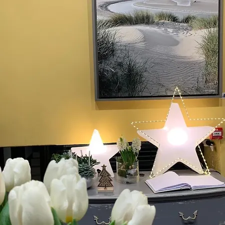 オテル レ ザンブルン 3* Le Touquet