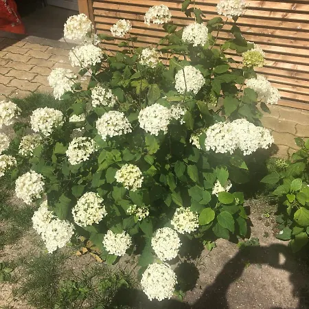 Les Embruns